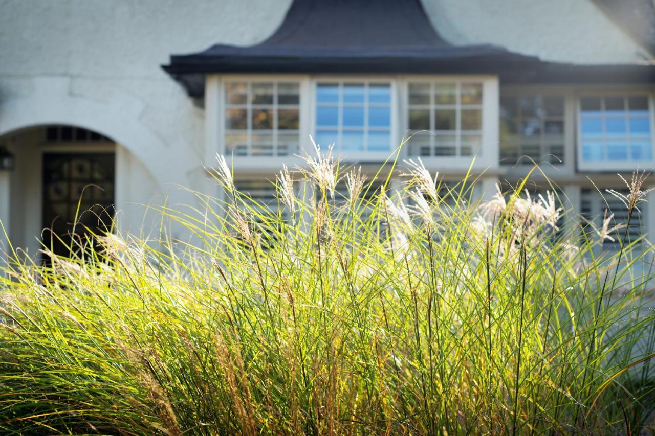 Daisybank Cottage Boutique Bed And Breakfast Brockenhurst Εξωτερικό φωτογραφία
